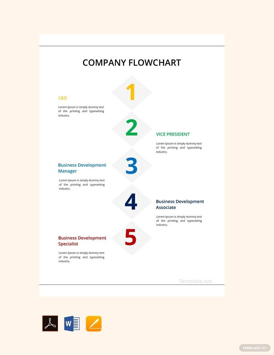 Company Flowchart Template in Word, Google Docs, PDF, Apple Pages