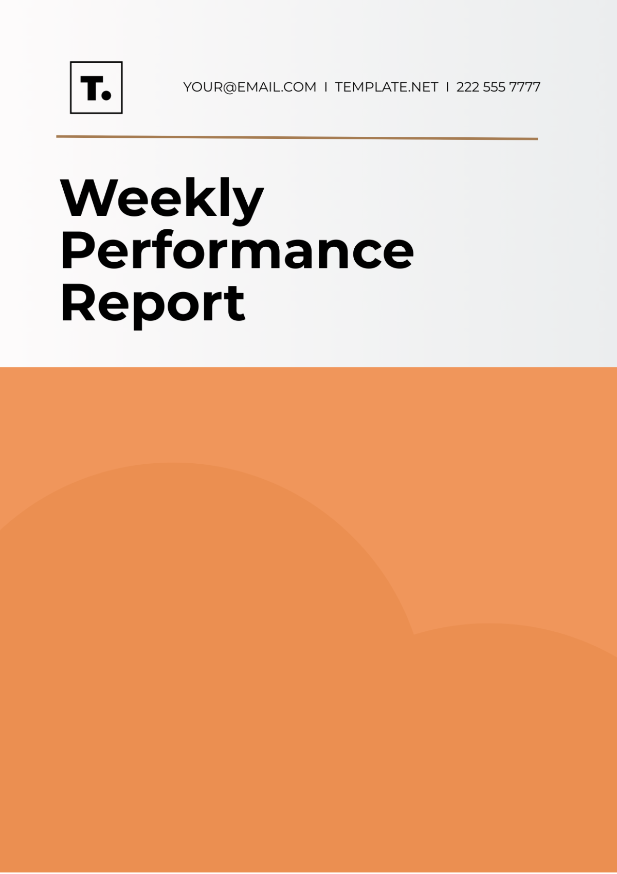 Weekly Performance Report Template