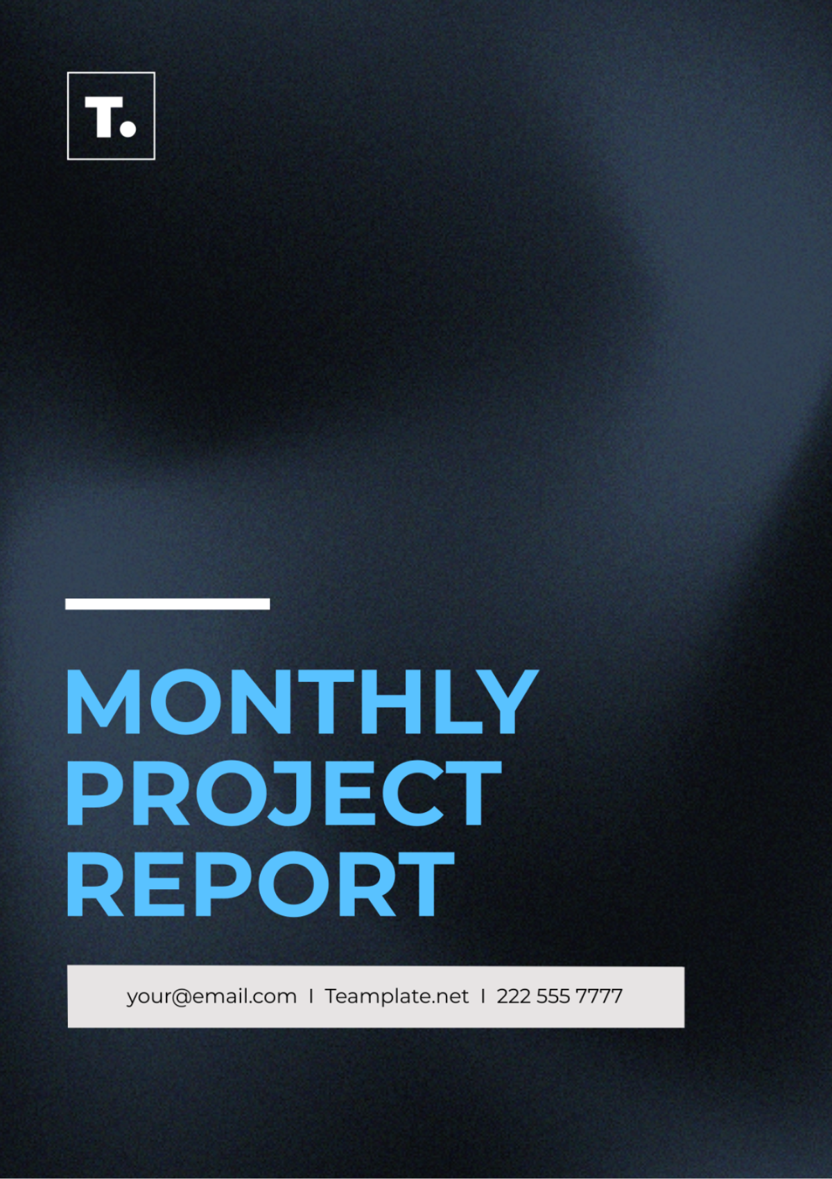 Monthly Project Report Template