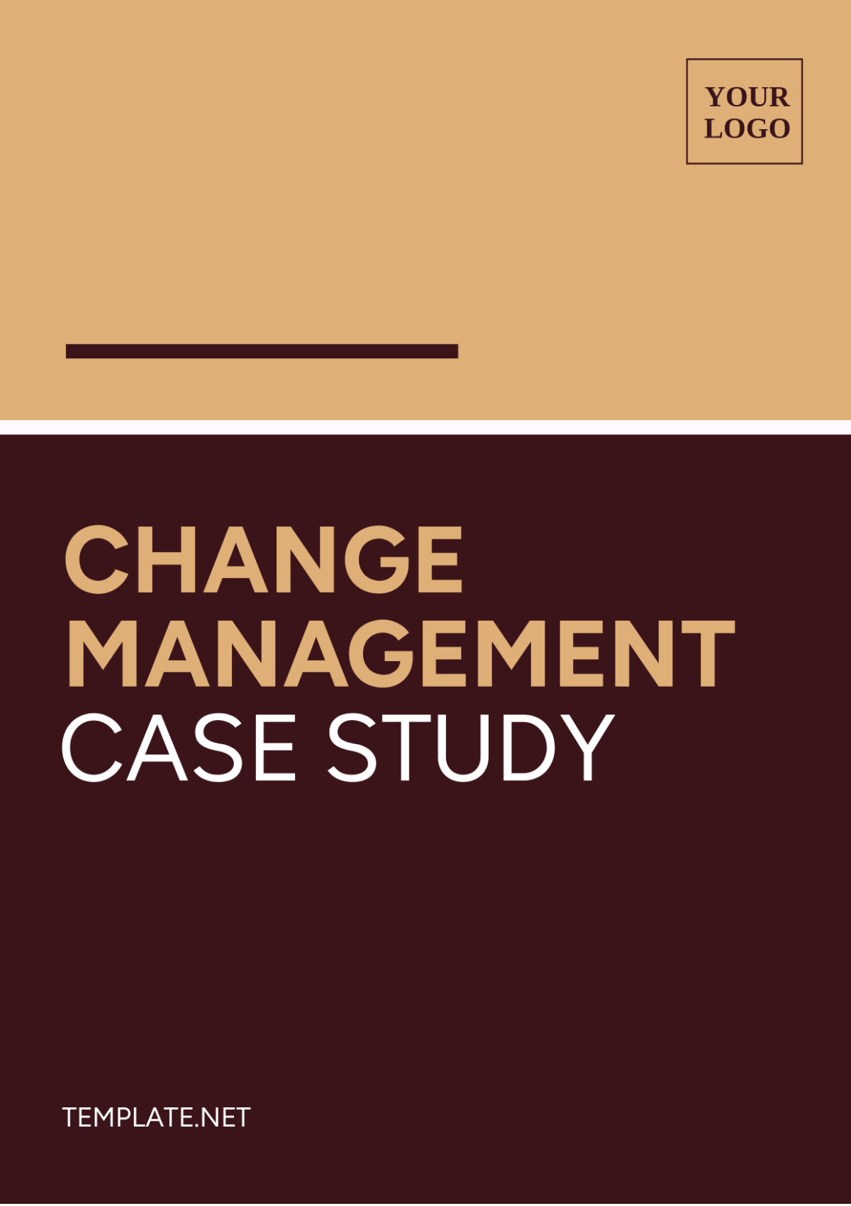 Change Management Case Study Template