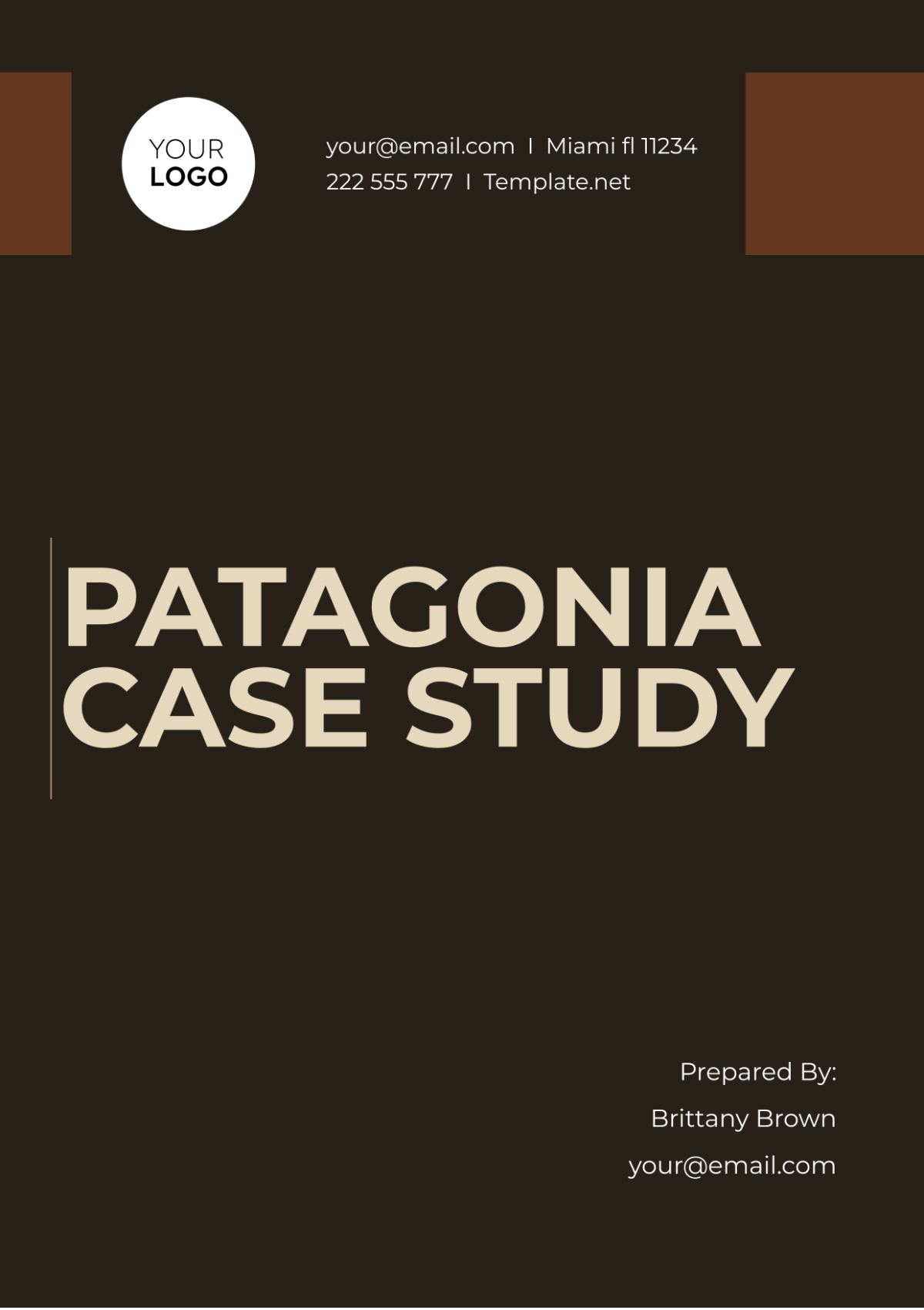 Patagonia Case Study Template