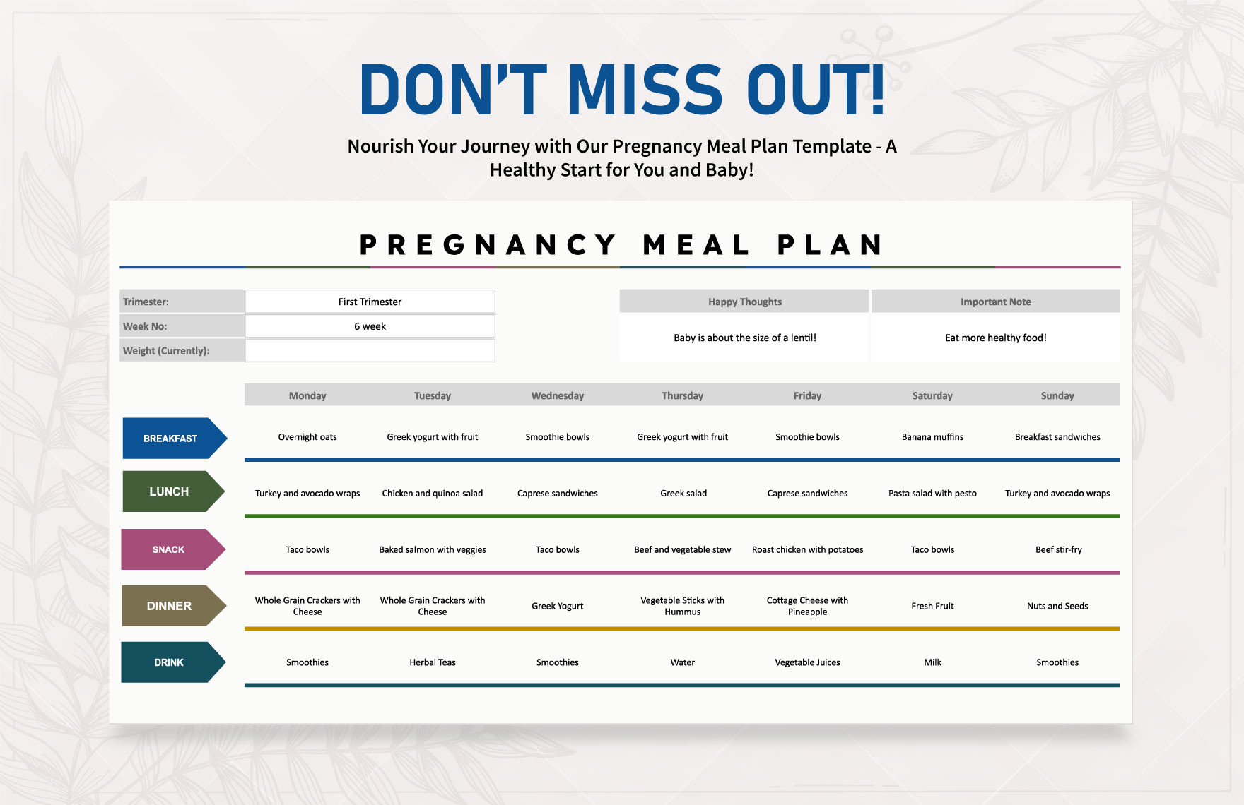 Pregnancy Meal Plan Template