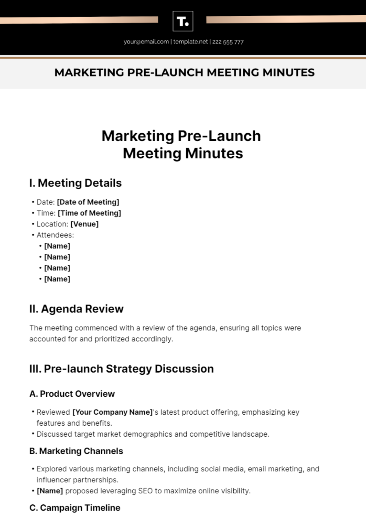 Marketing Pre Launch Meeting Minutes Template
