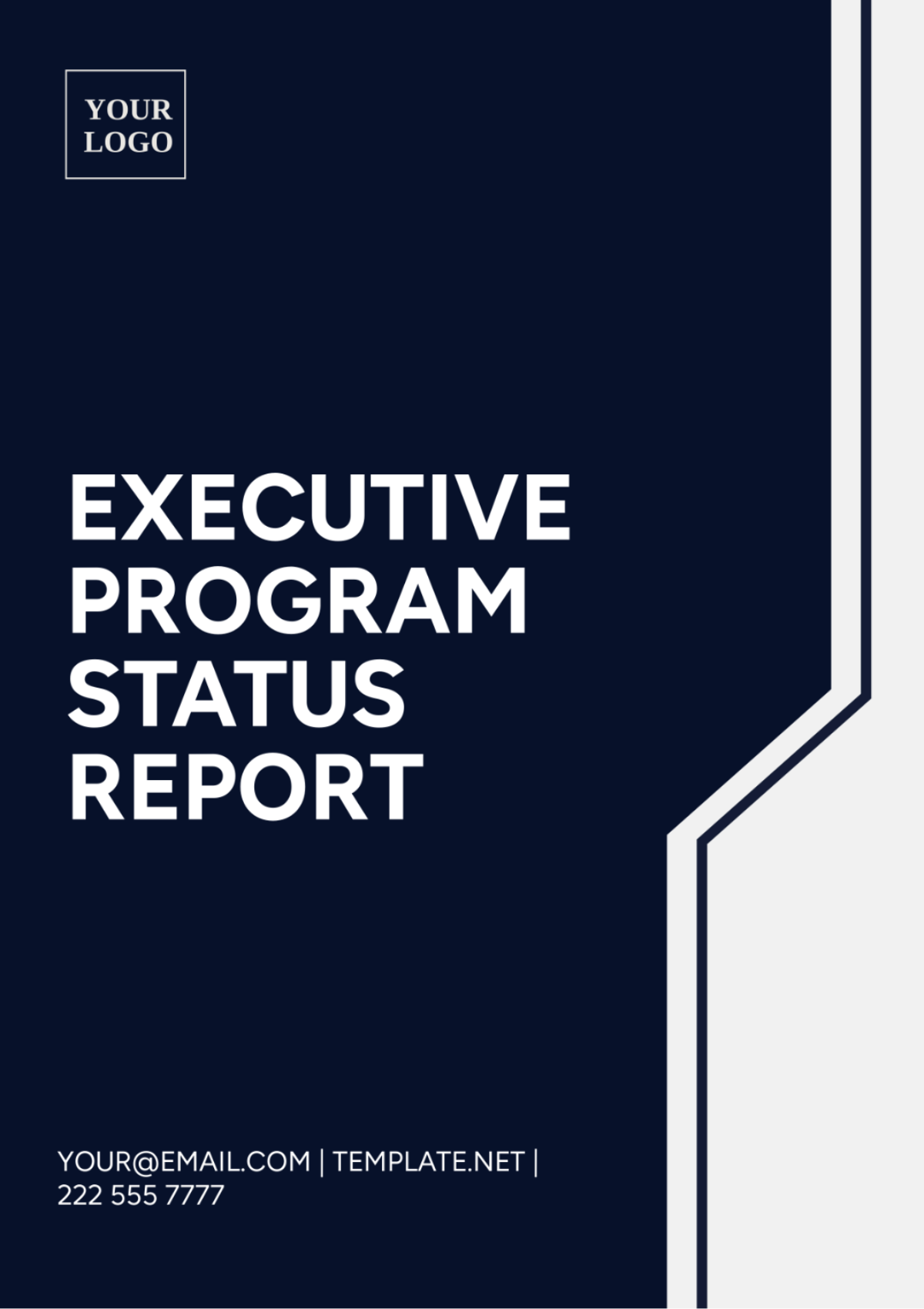 Executive Program Status Report Template