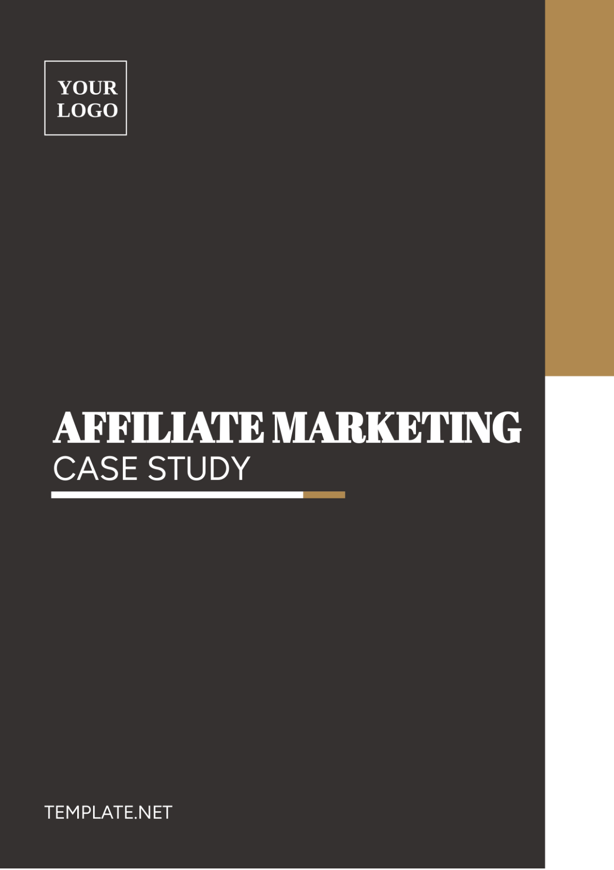 Affiliate Marketing Case Study Template