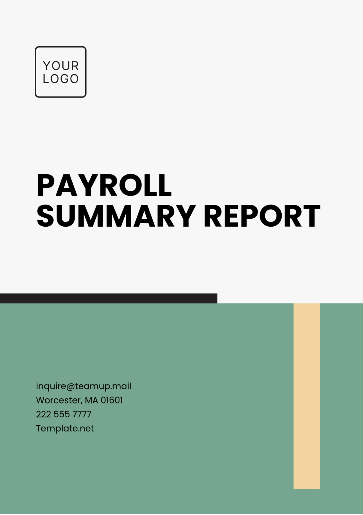 Payroll Summary Report Template - Edit Online & Download