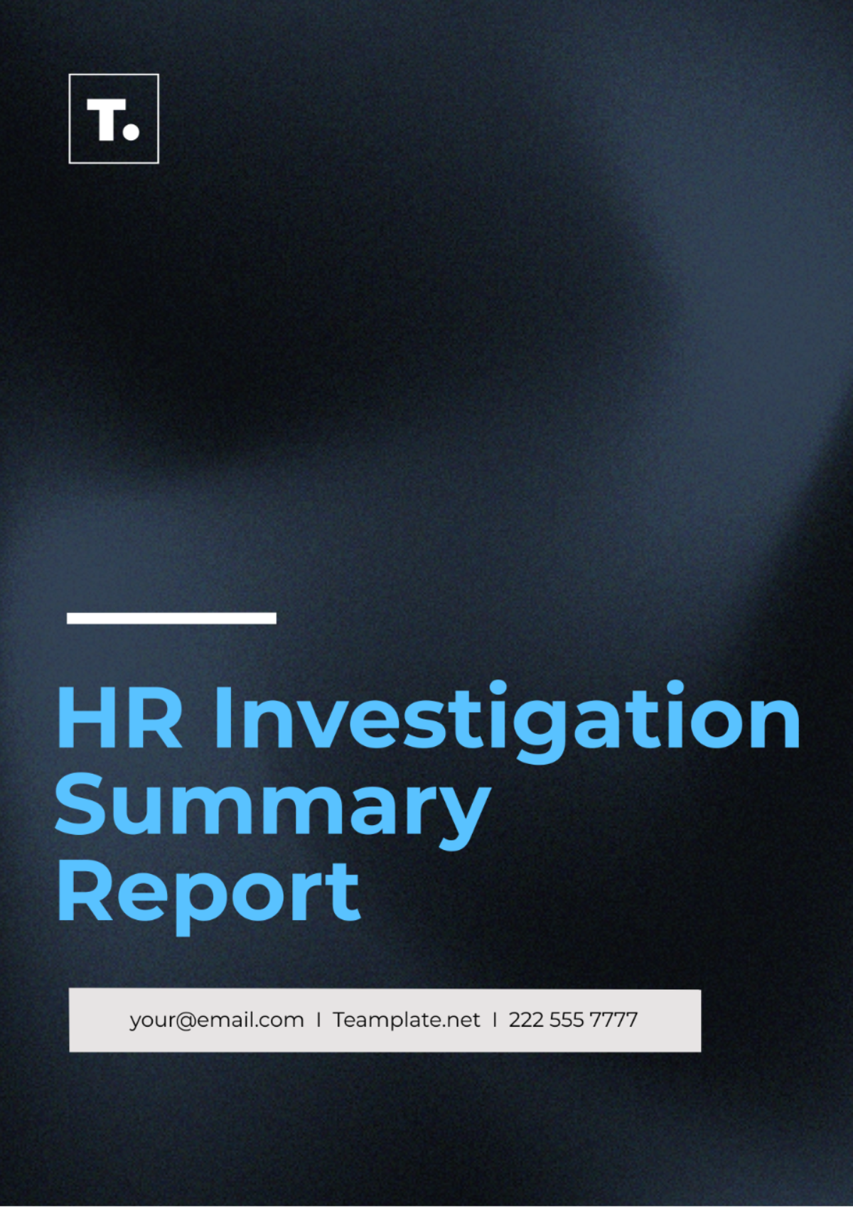 HR Investigation Summary Report Template