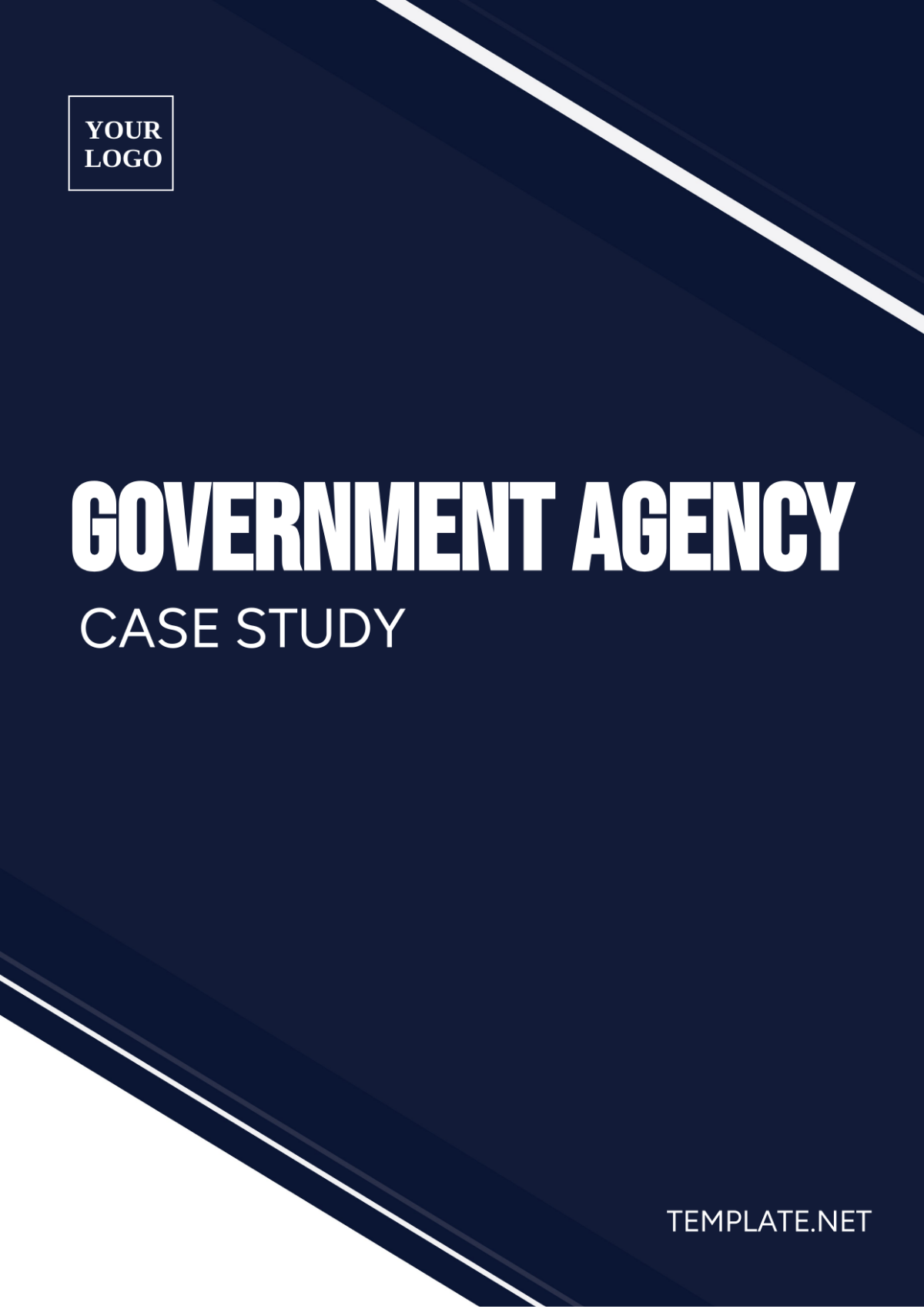 Free Government Agency Case Study Template