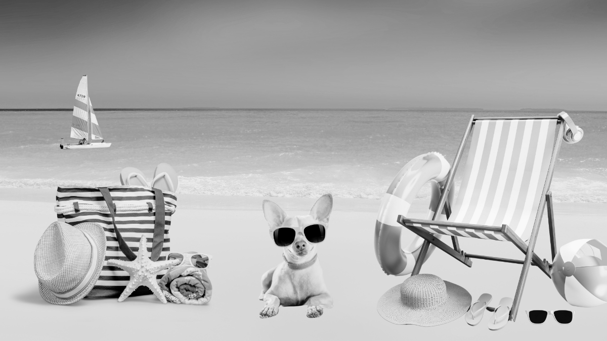 Free Black And White Summer Background
