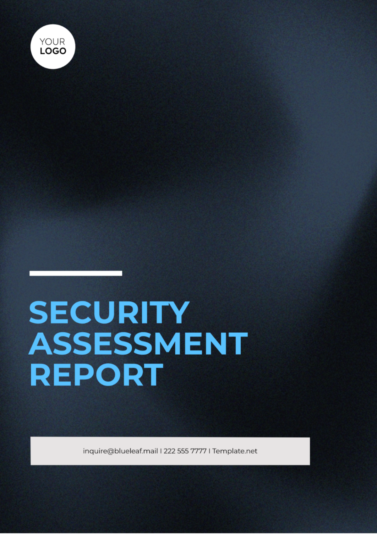 Security Assessment Report Template - Edit Online & Download