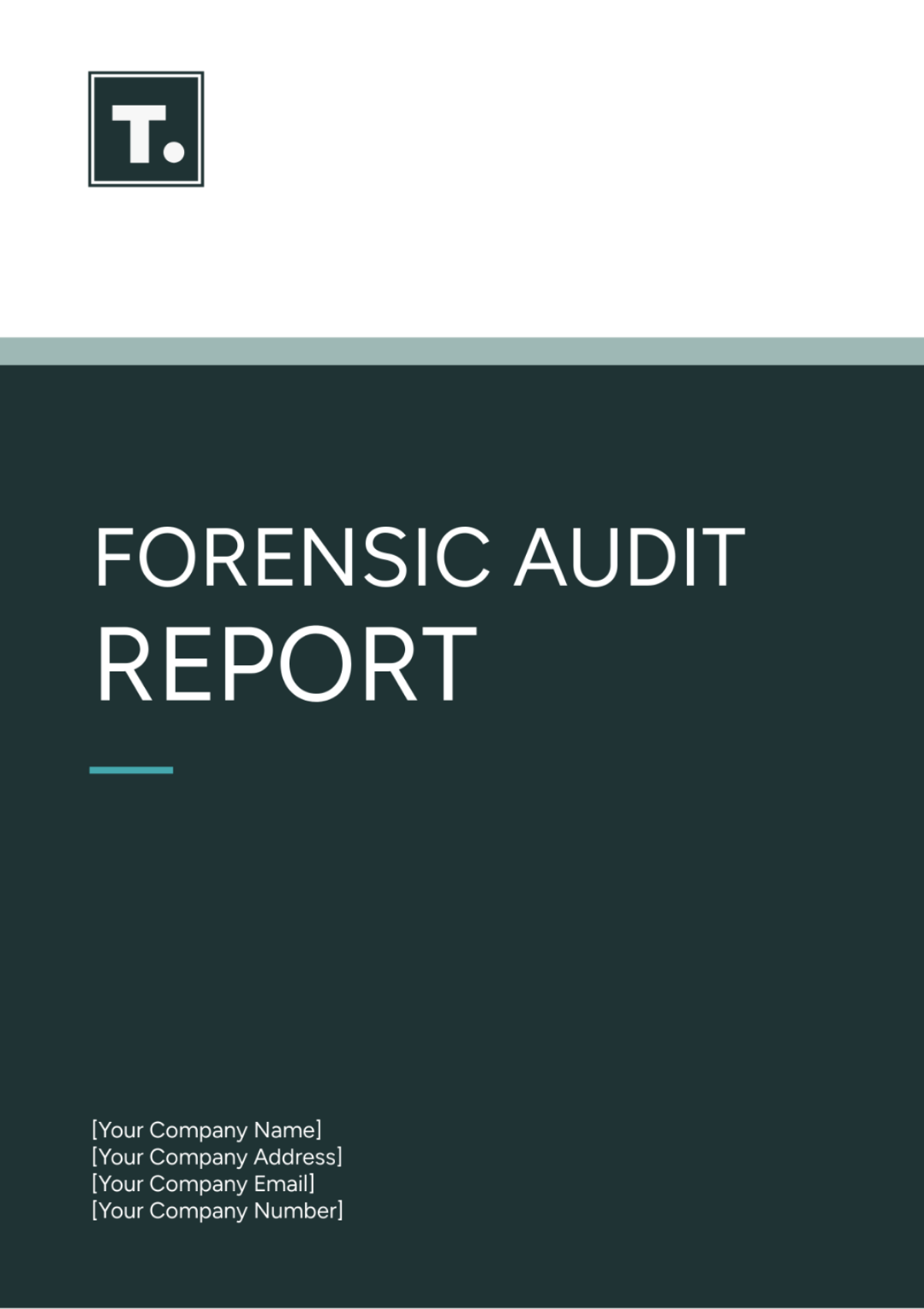 Forensic Audit Report Template - Edit Online & Download