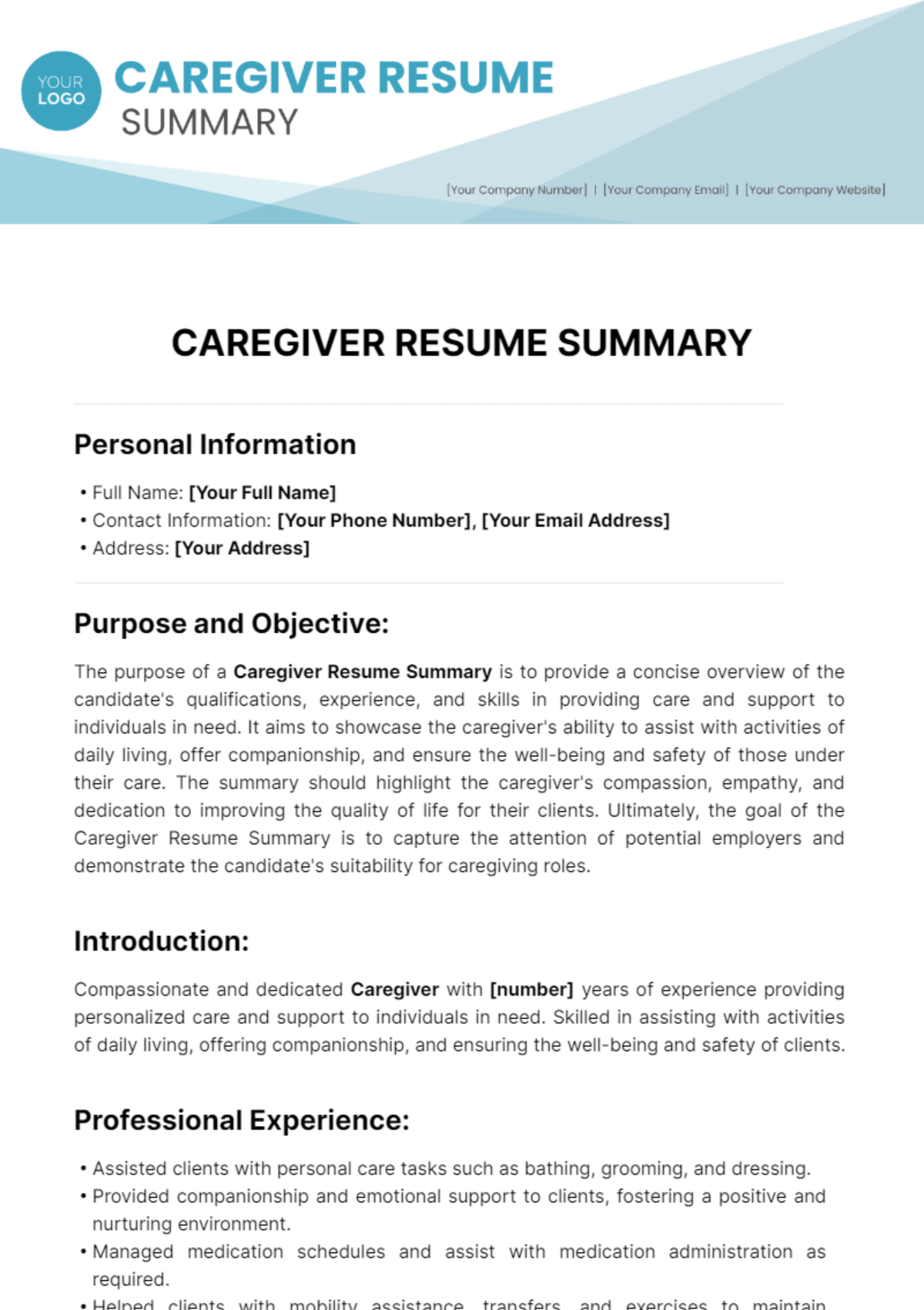 Caregiver Resume Summary Template
