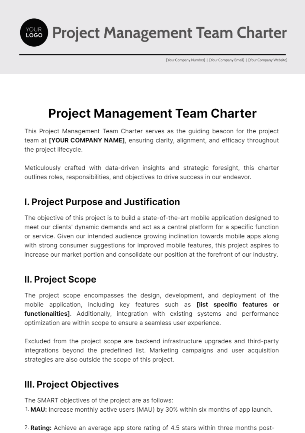 Project Management Team Charter Template