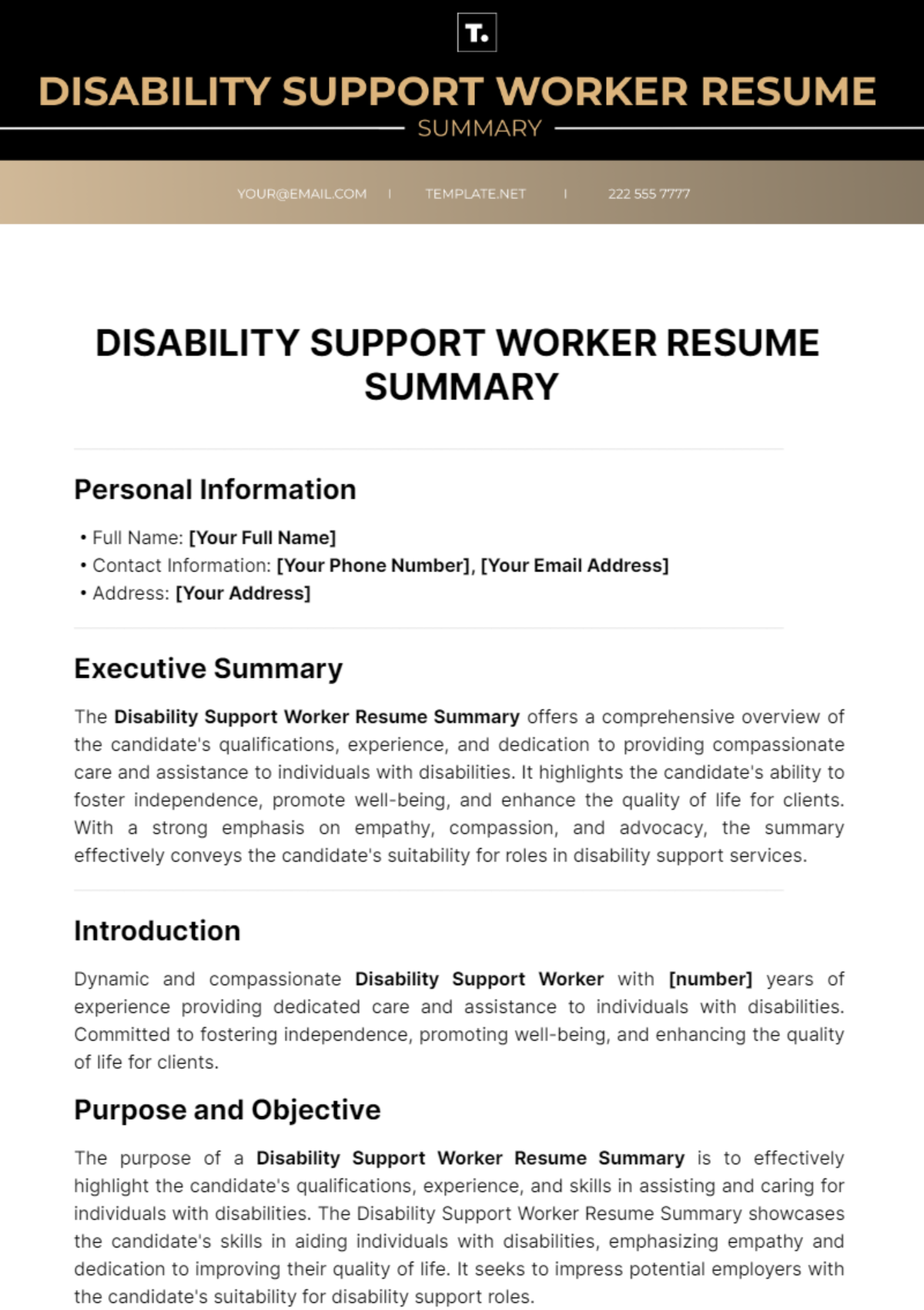 Disability Support Worker Resume Summary Template