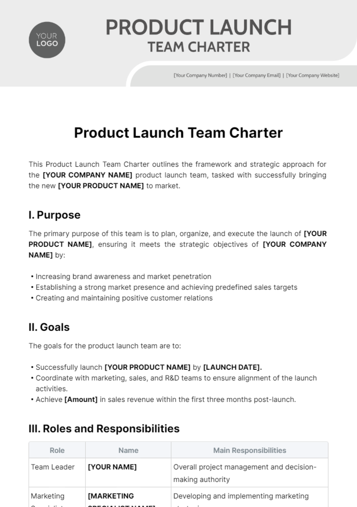 Product Lunch Team Charter Template