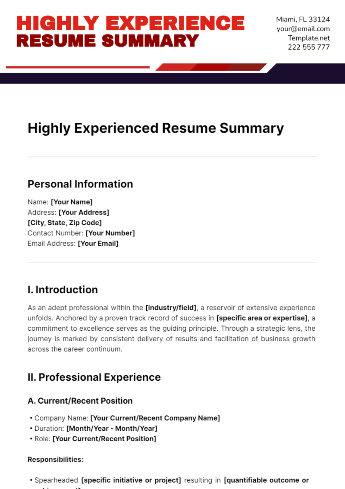 Highly Experienced Resume Summary Template