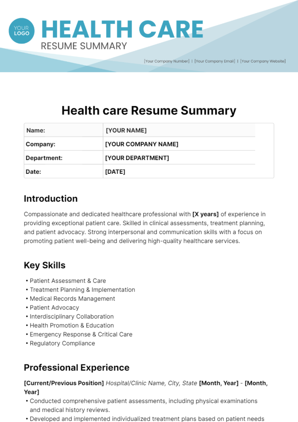 Health Care Resume Summary Template
