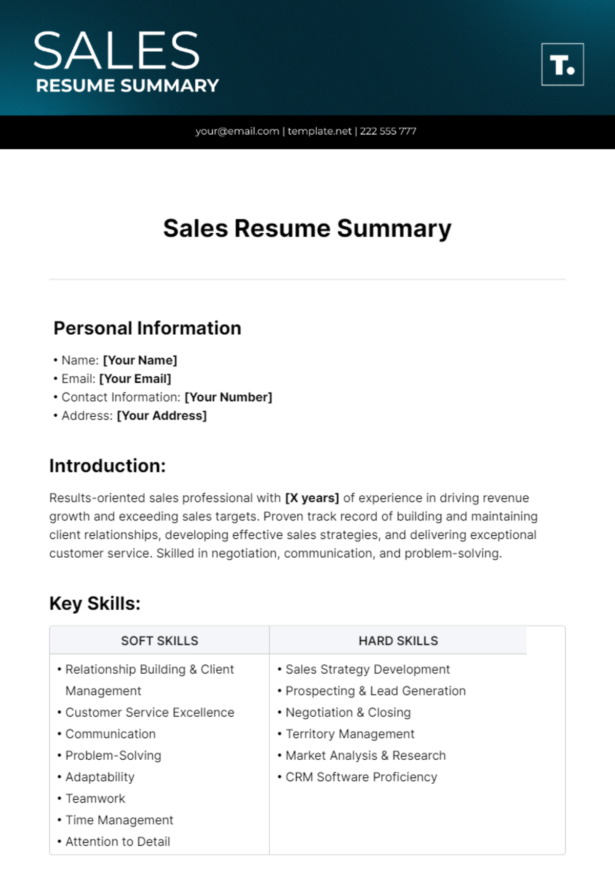 Sales Resume Summary Template