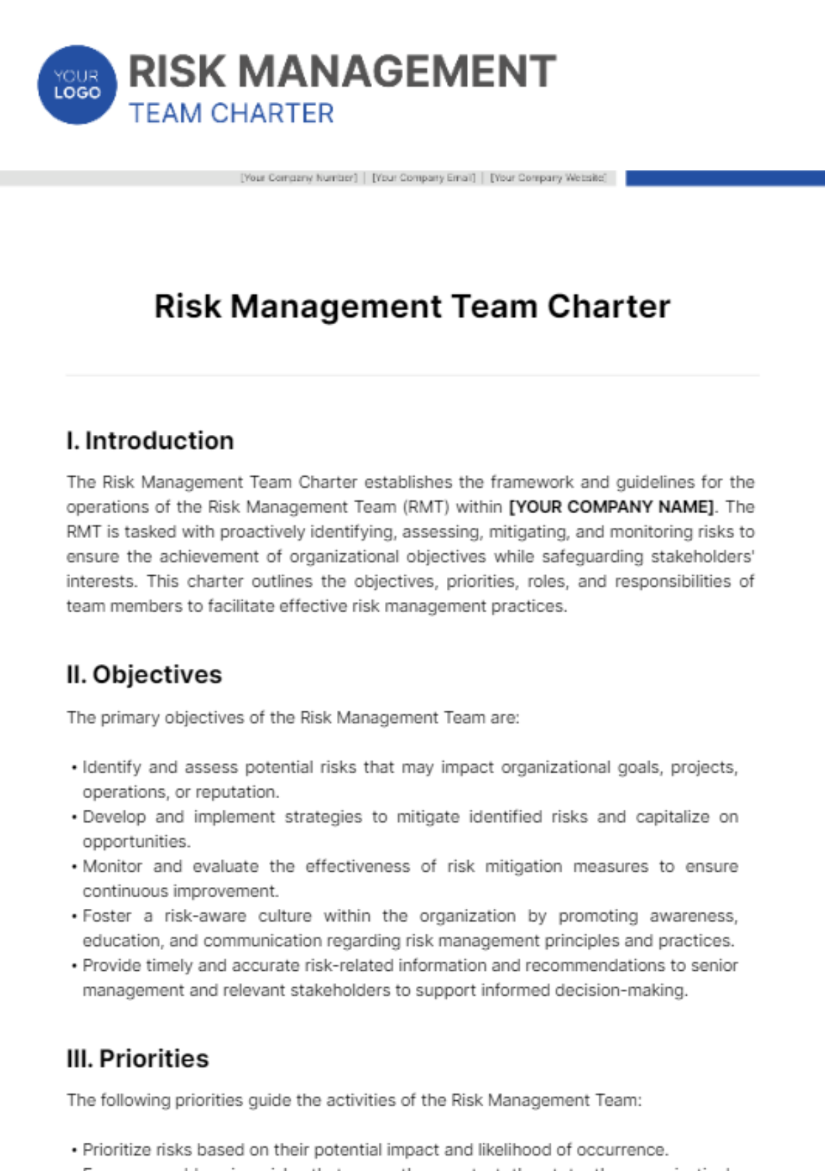 Risk Management Team Charter Template