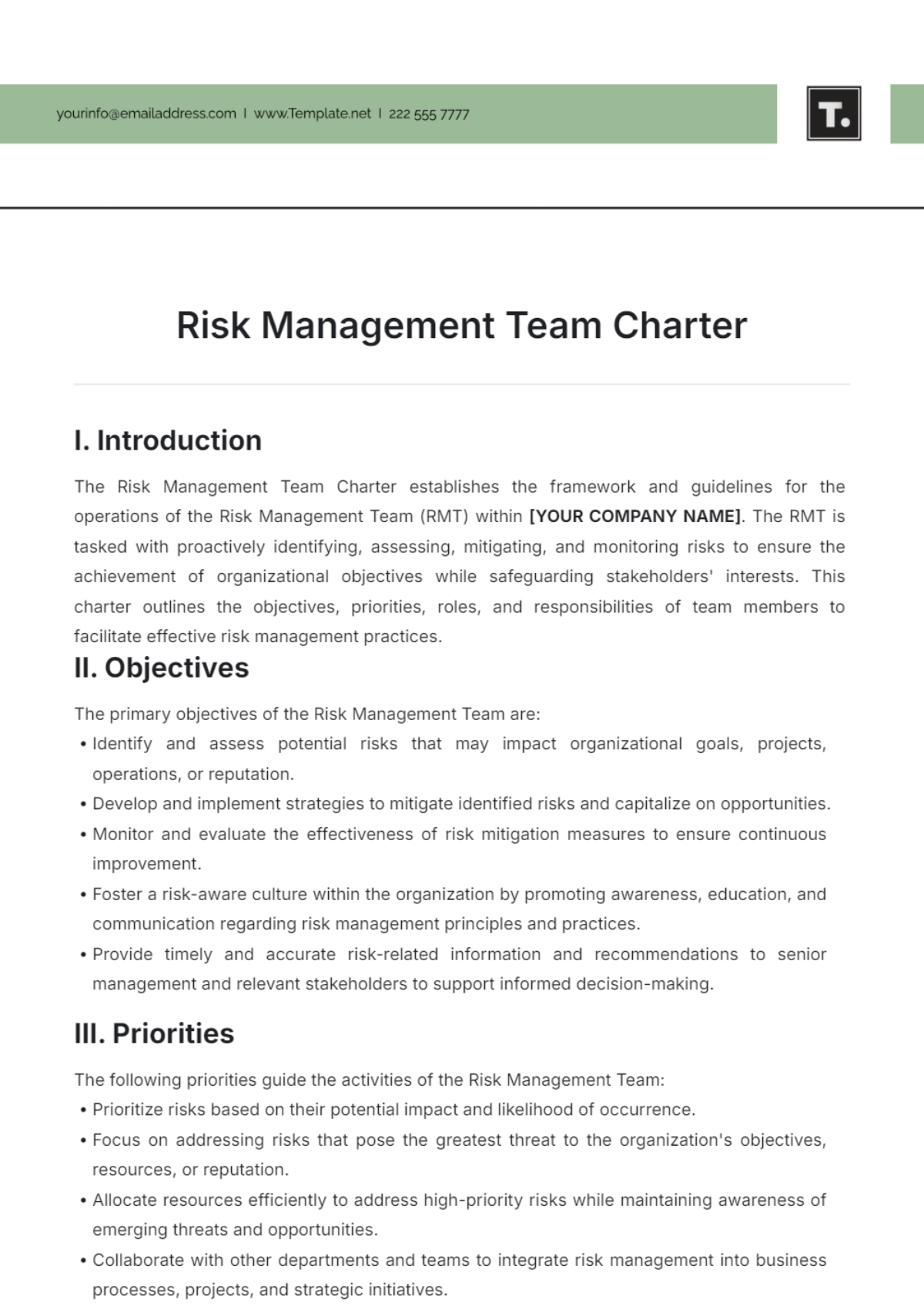 Risk Management Team Charter Template