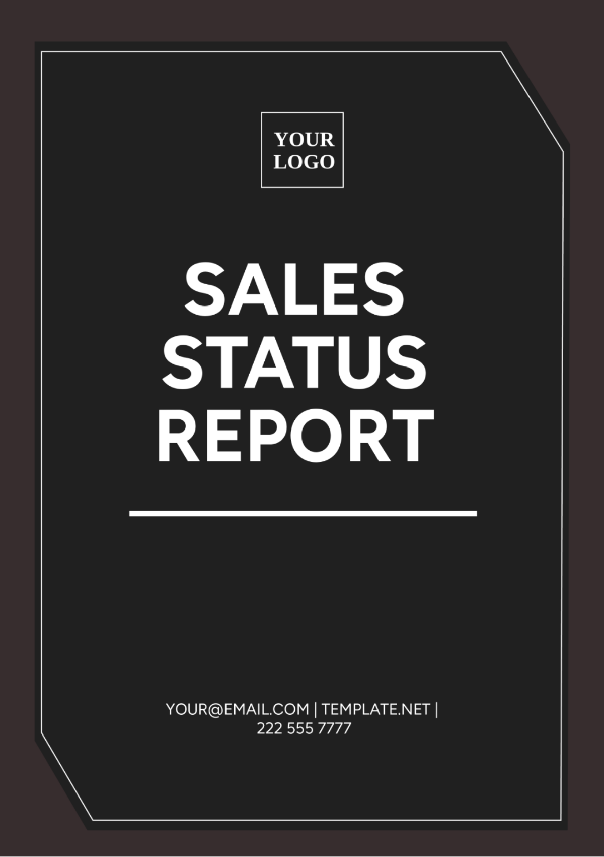 Sales Status Report Template
