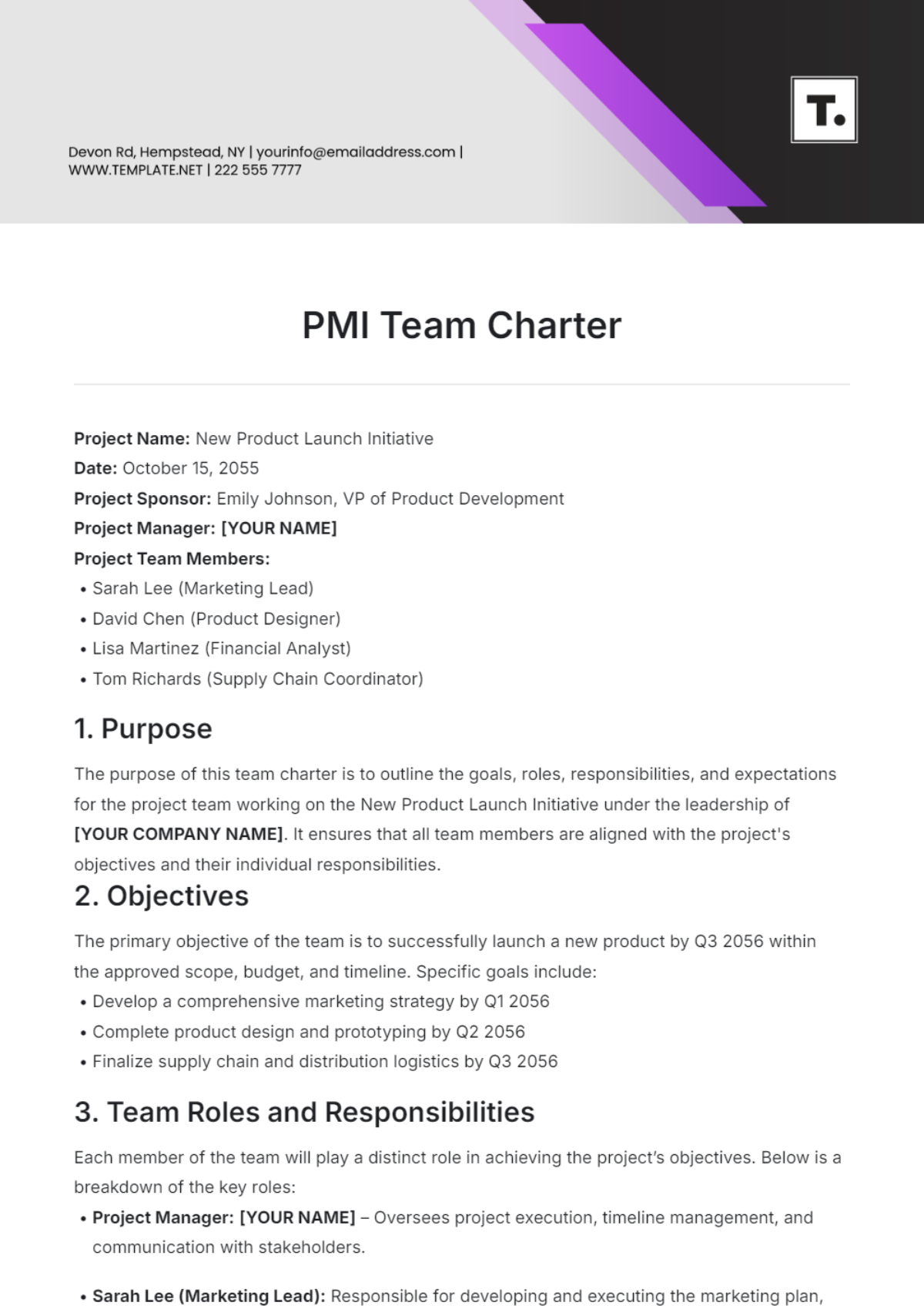 Pmi Team Charter Template