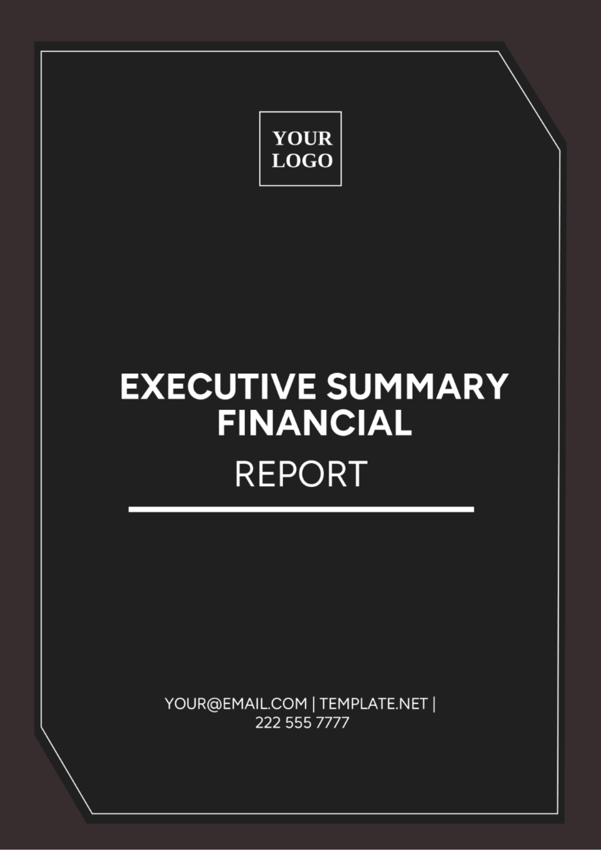 Executive Summary Financial Report Template