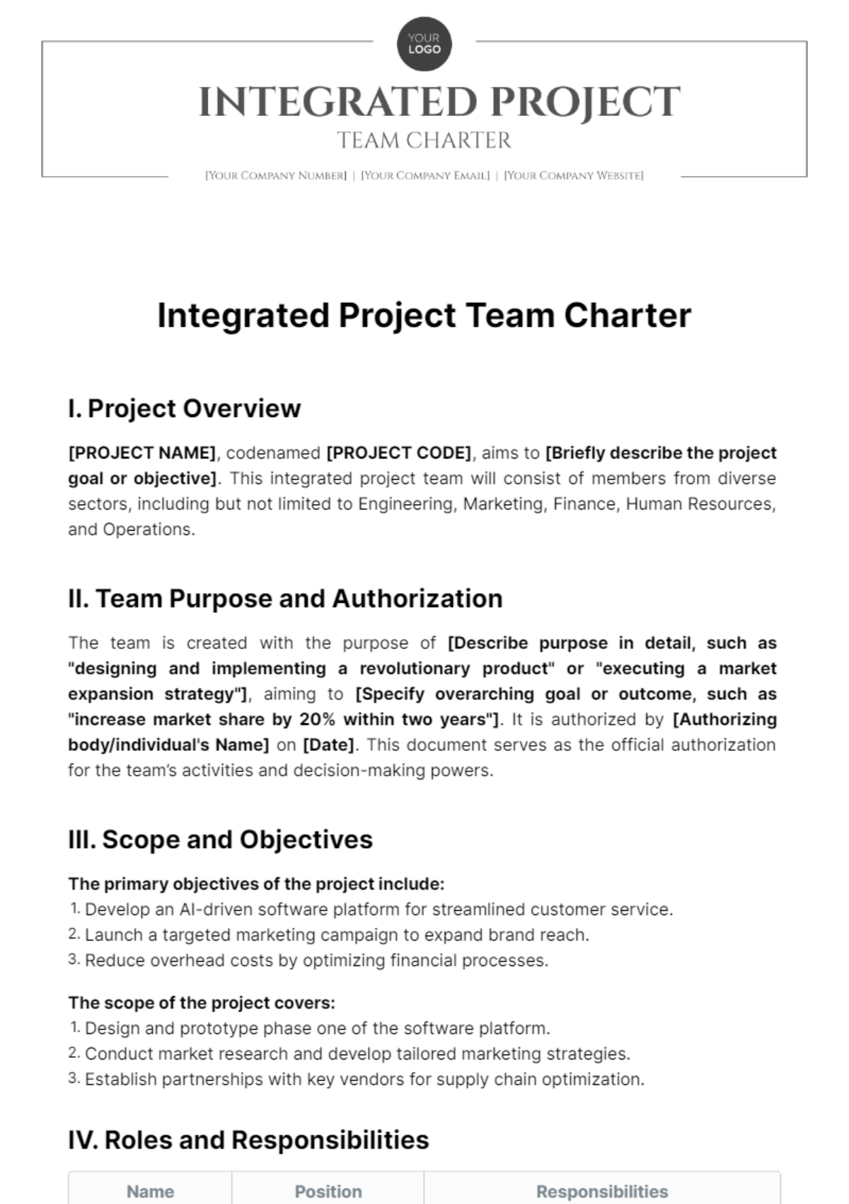 Free Integrated Project Team Charter Template