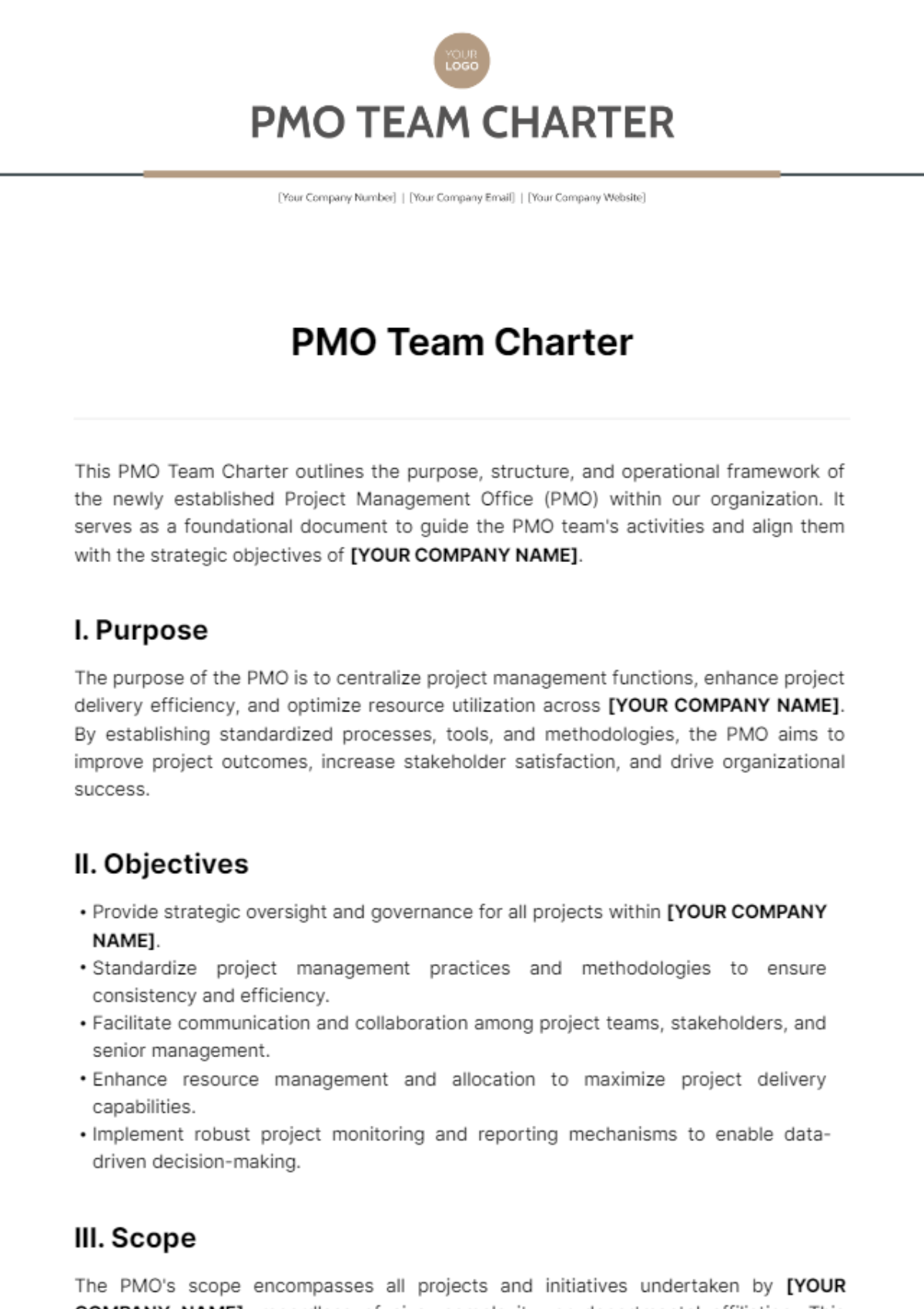 Free PMO Team Charter Template