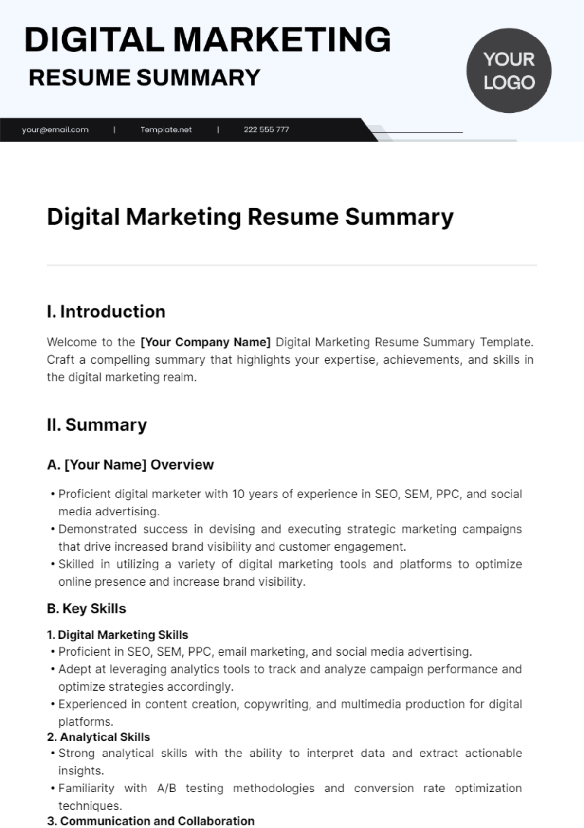 Digital Marketing Resume Summary Template
