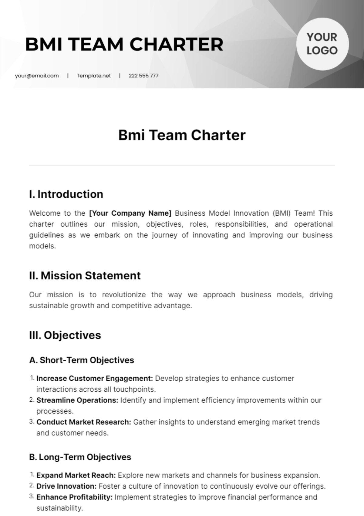 Free Bmi Team Charter Template