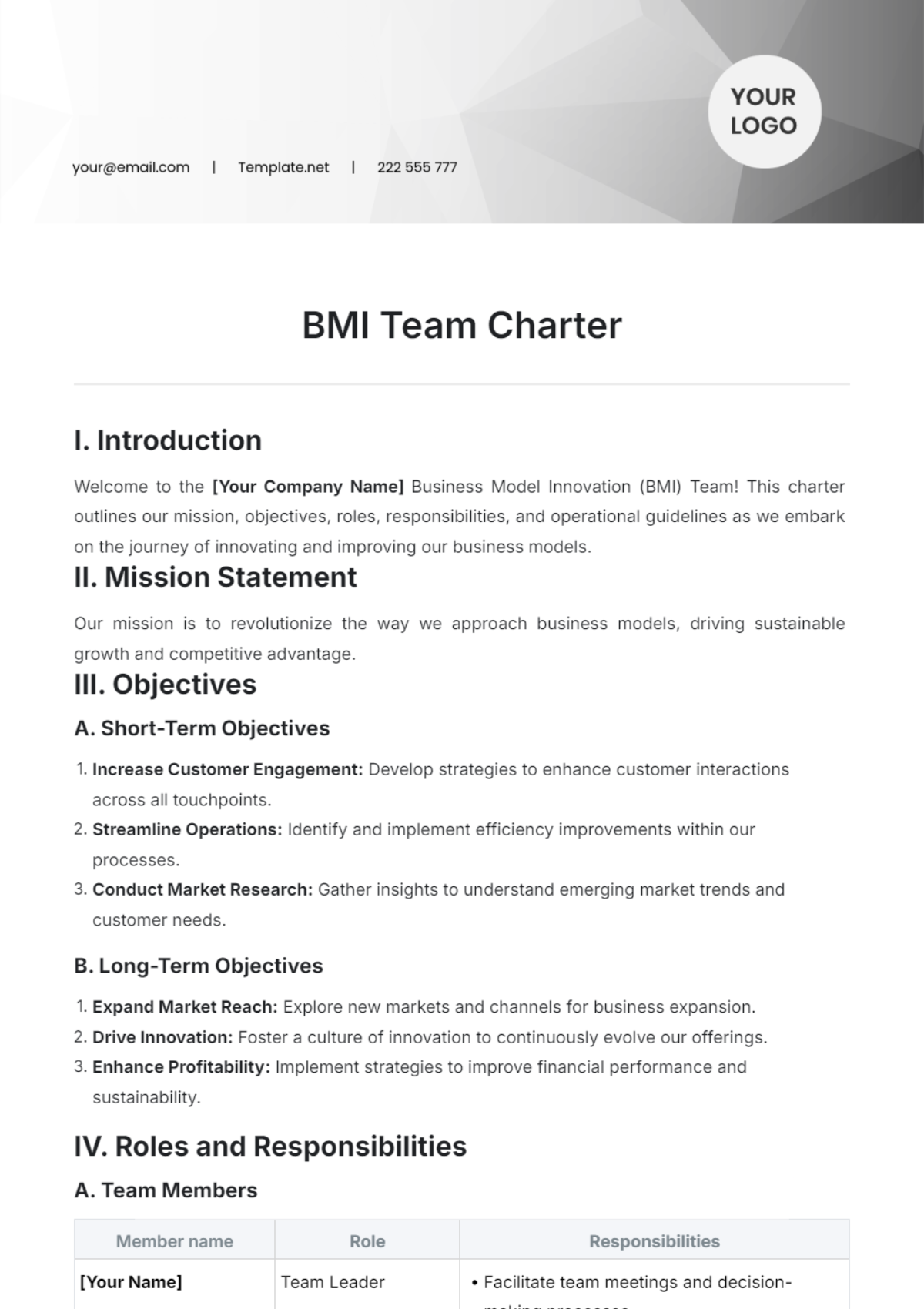 Bmi Team Charter Template