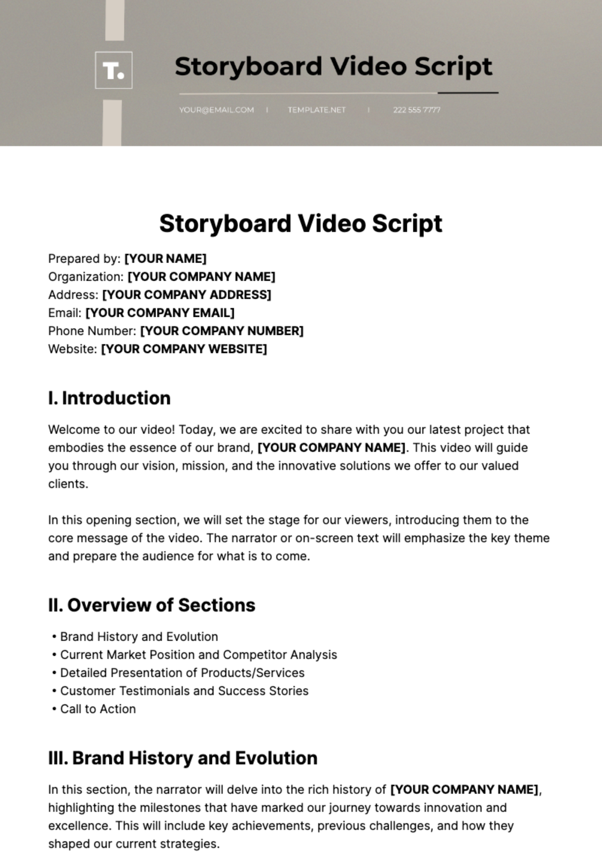 Storyboard Video Script Template