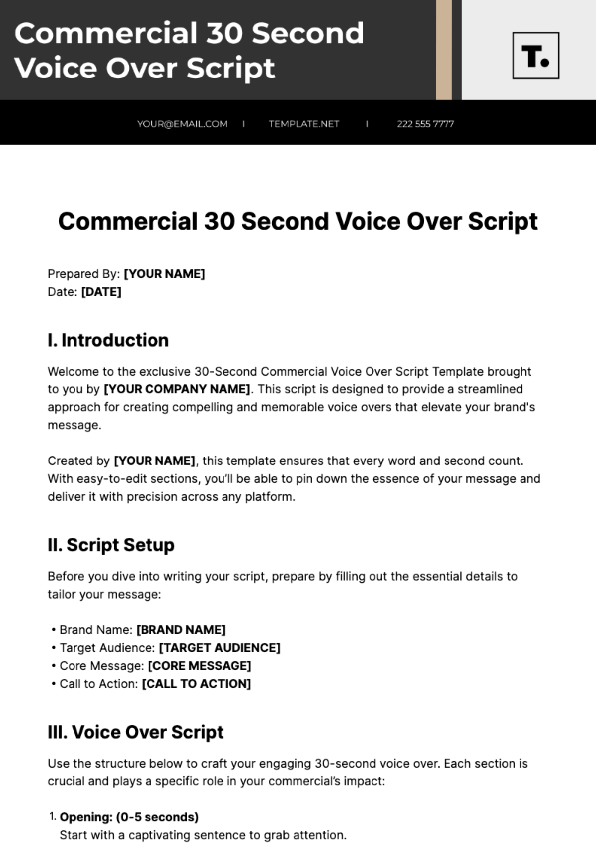 Commercial 30 Second Voice Over Script Template