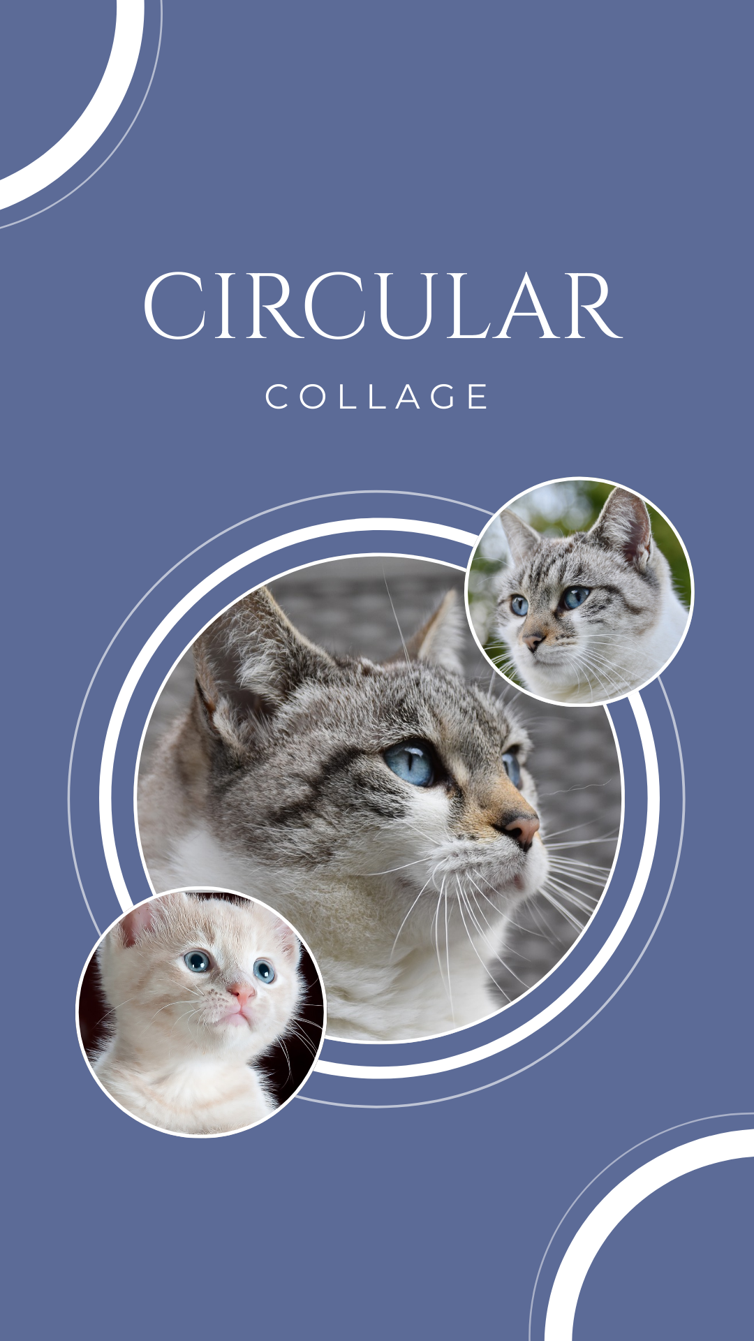 Circular Collage