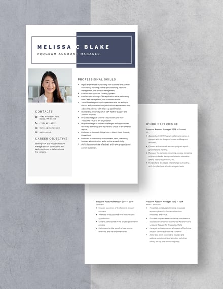 Program Account Manager Resume Download