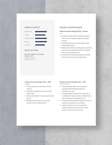 Program Account Manager Resume Template