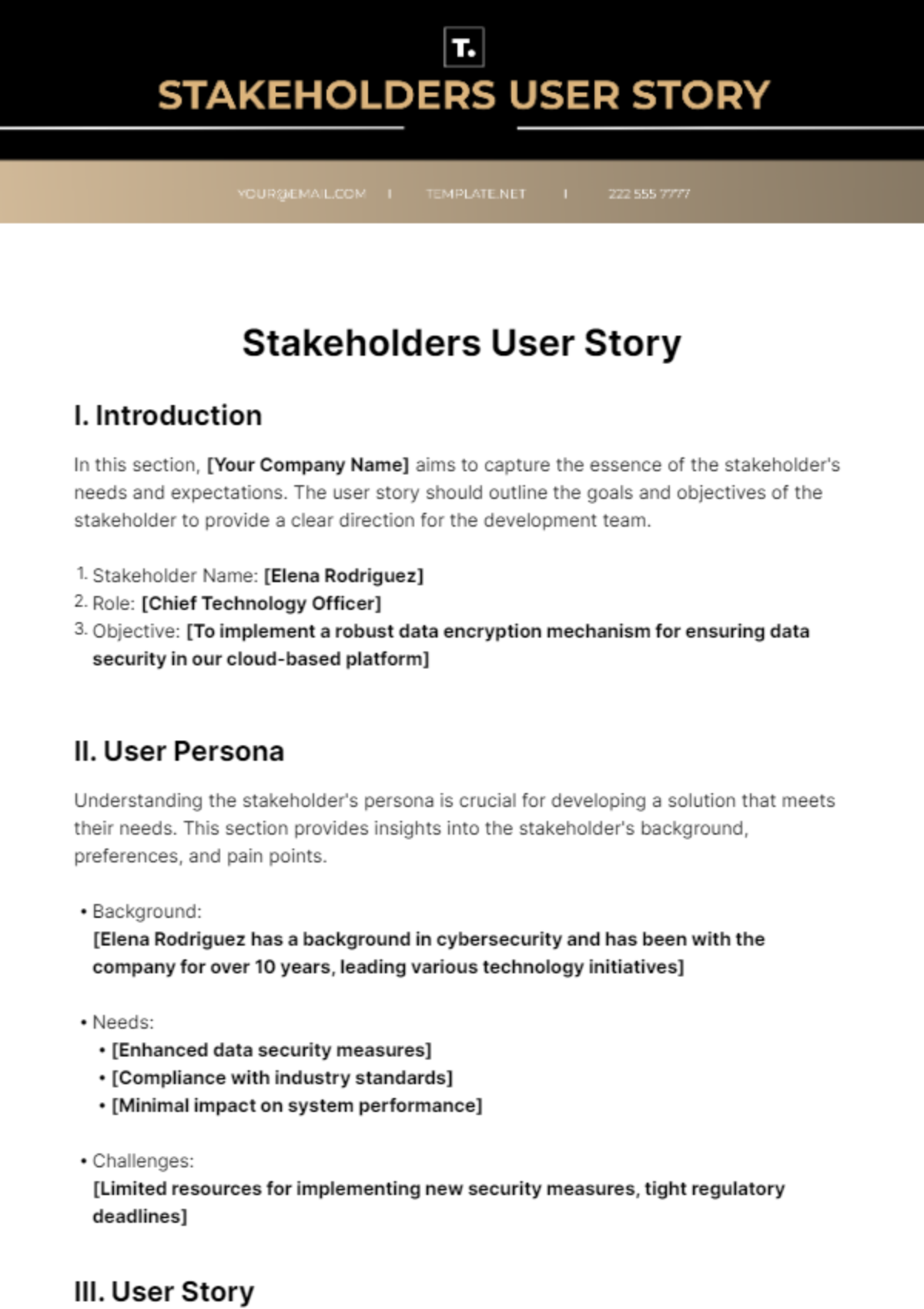 Free Stakeholders User Story Template
