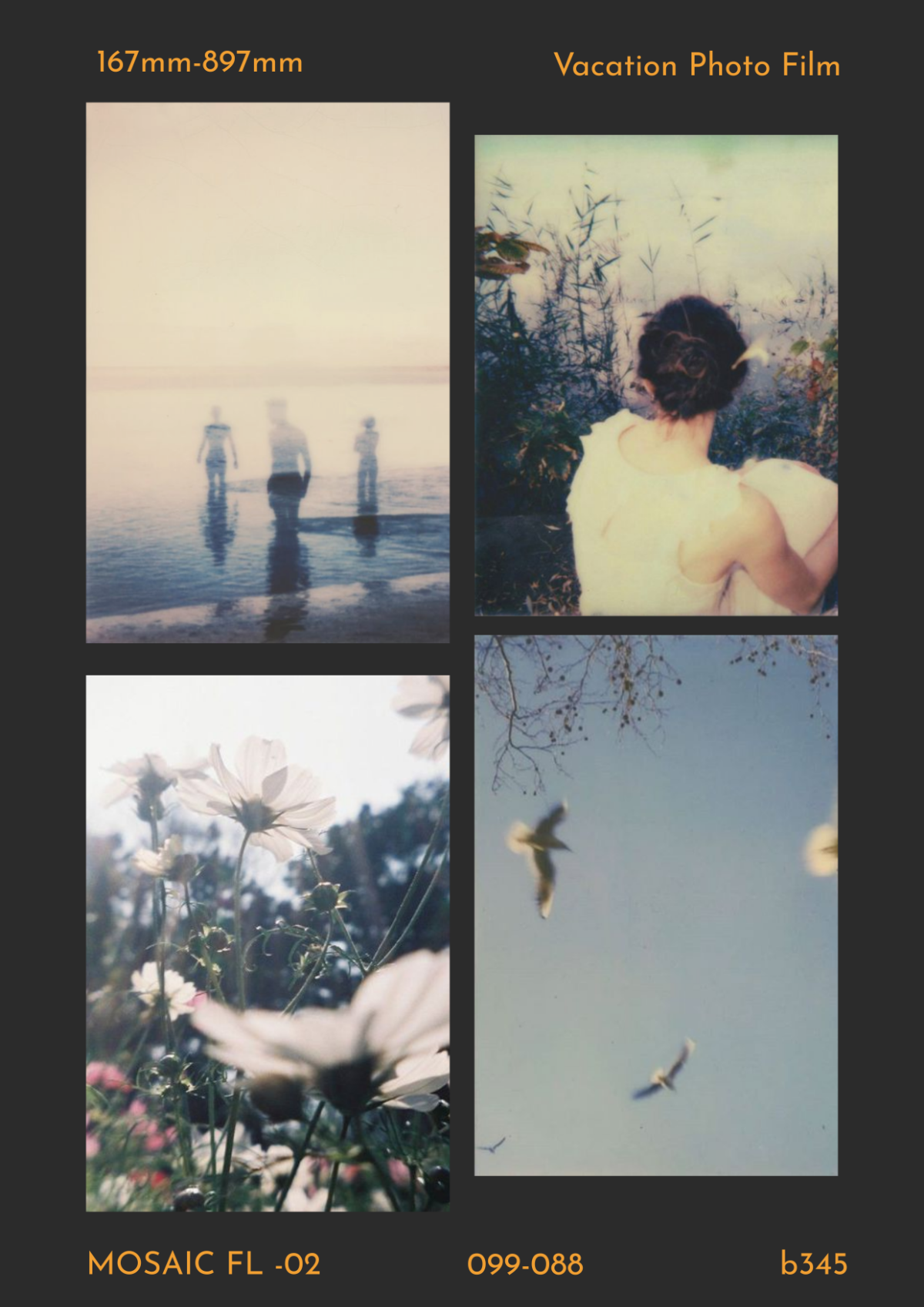 Film Photo Collage