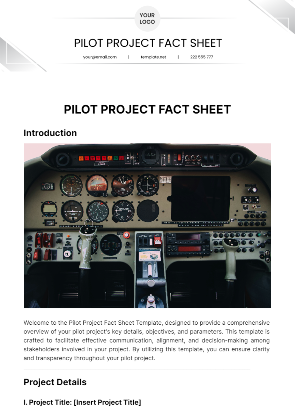 Pilot Project Fact Sheet Template