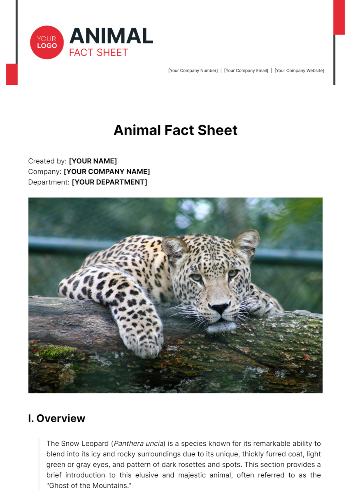 Animal Fact Sheet Template