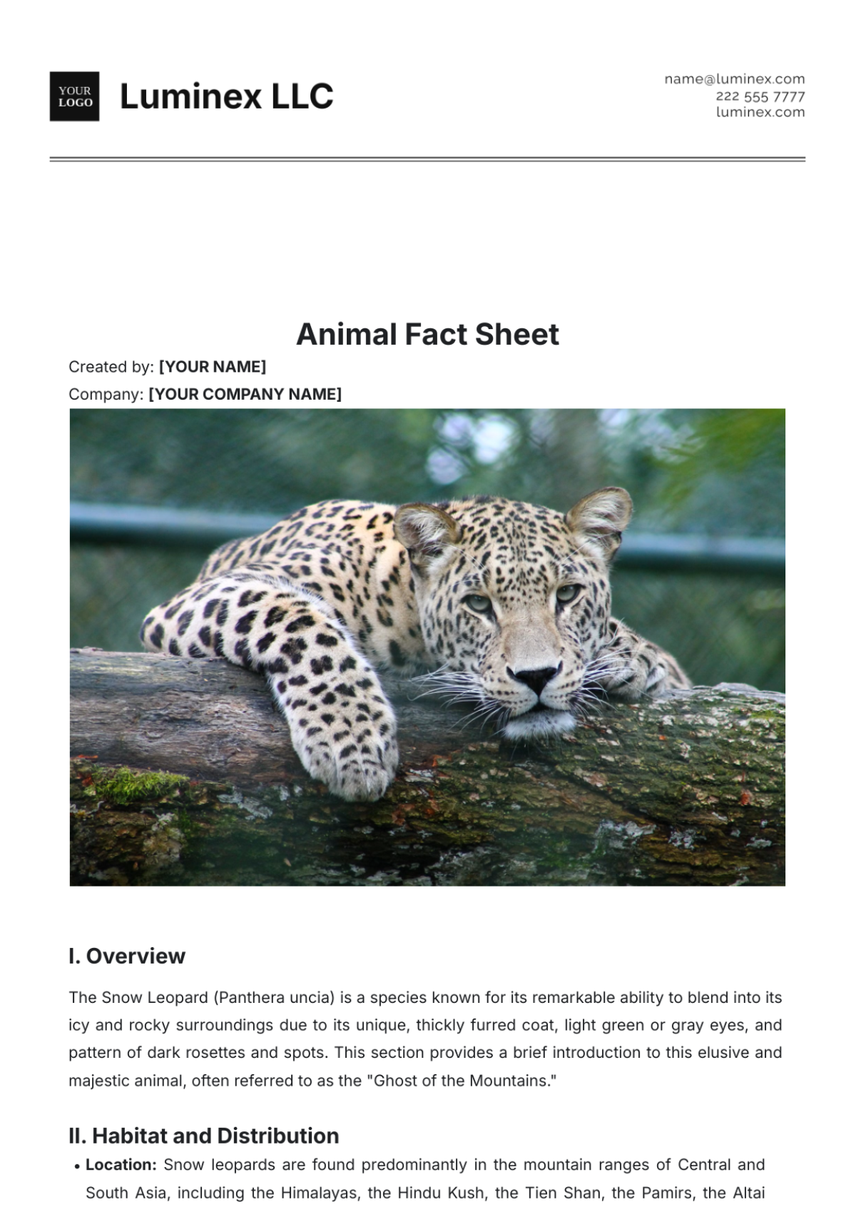 FREE Fact Sheet Templates Blank Fact Sheet Template – Your Guide to Top ...