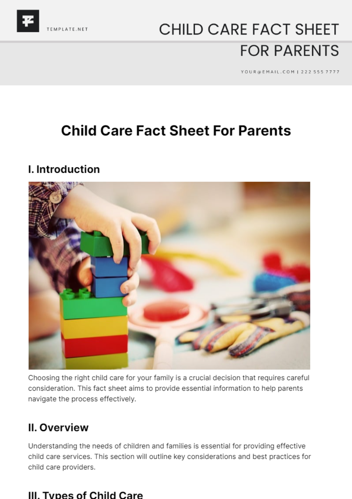 Child Care Fact Sheet For Parents Template