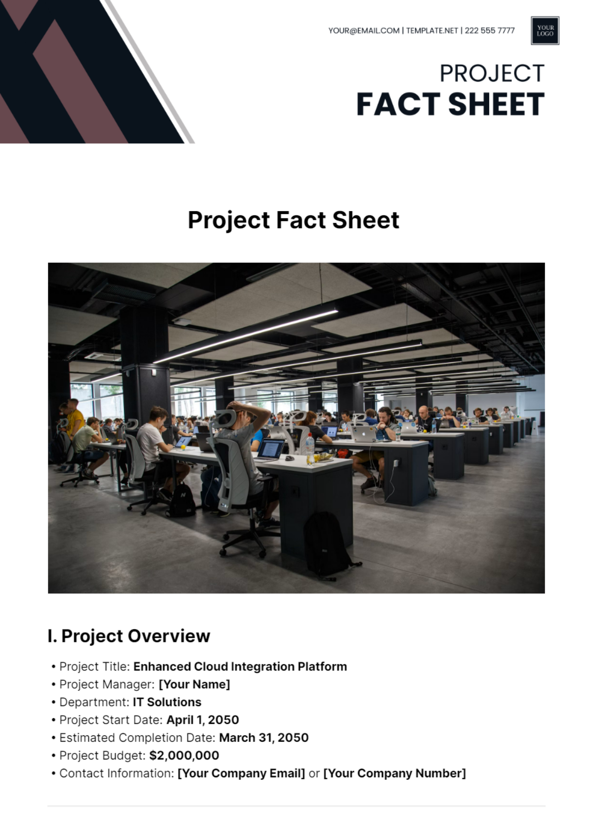 Project Fact Sheet Template