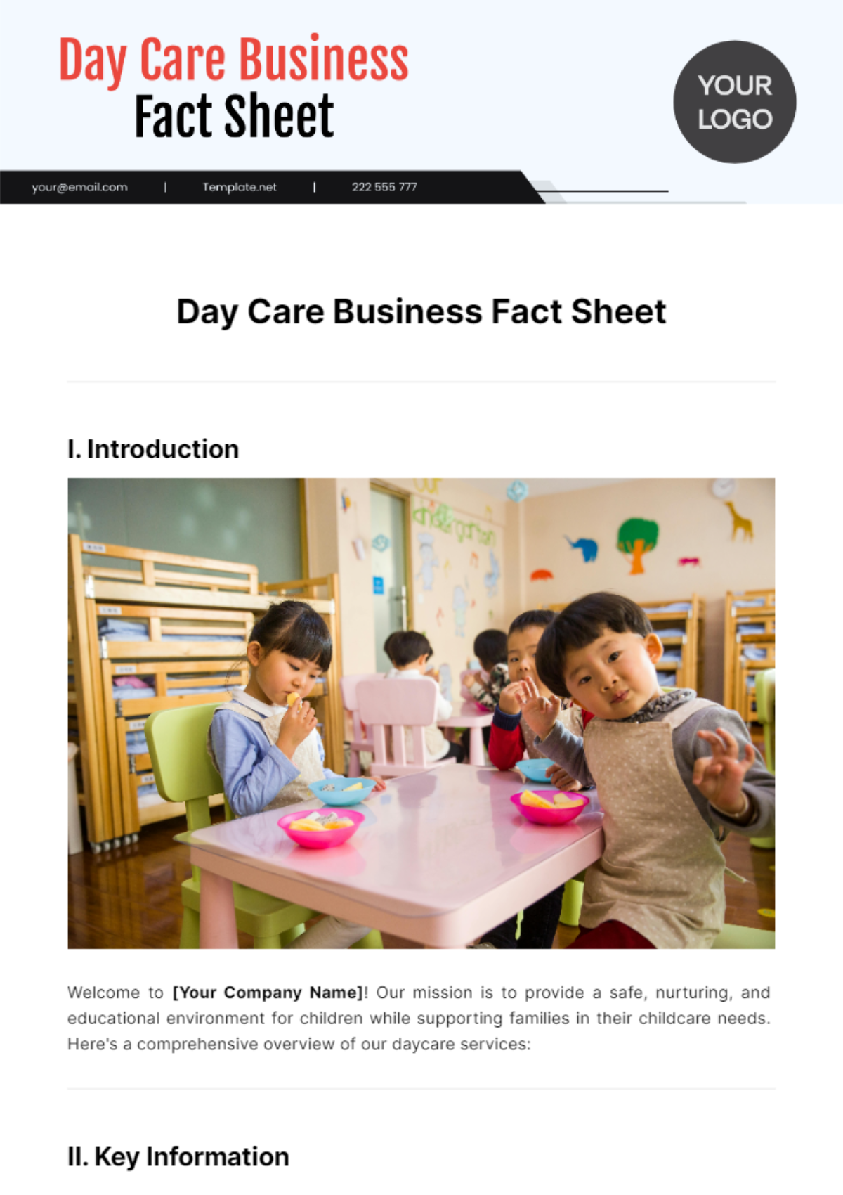 Day Care Business Fact Sheet Template