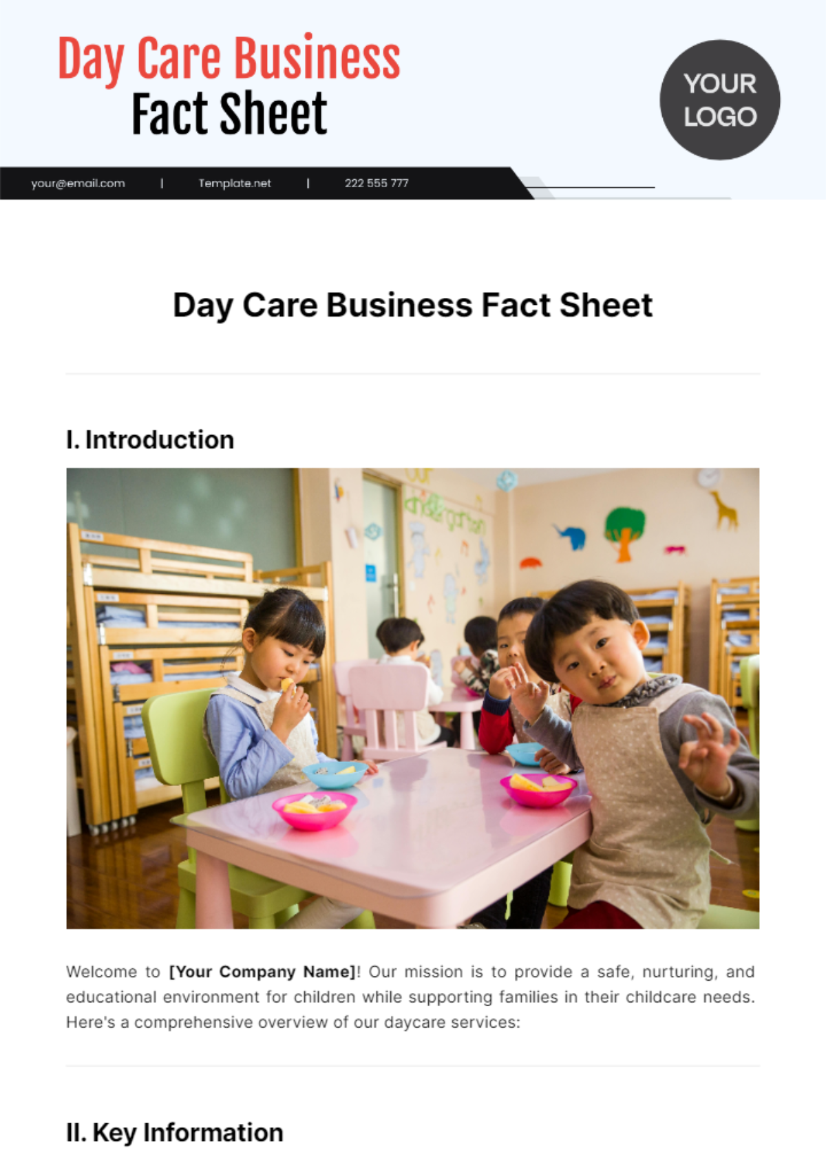 Day Care Business Fact Sheet Template - Edit Online & Download