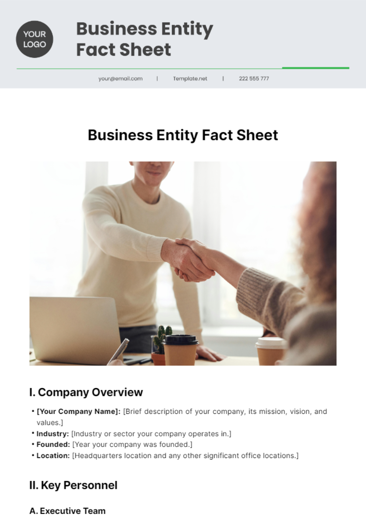 Business Entity Fact Sheet Template