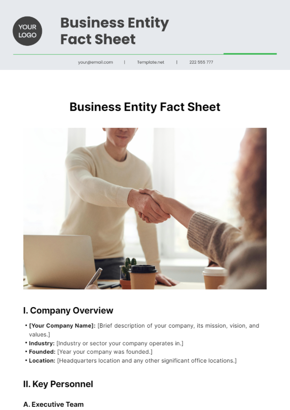 Business Entity Fact Sheet Template - Edit Online & Download