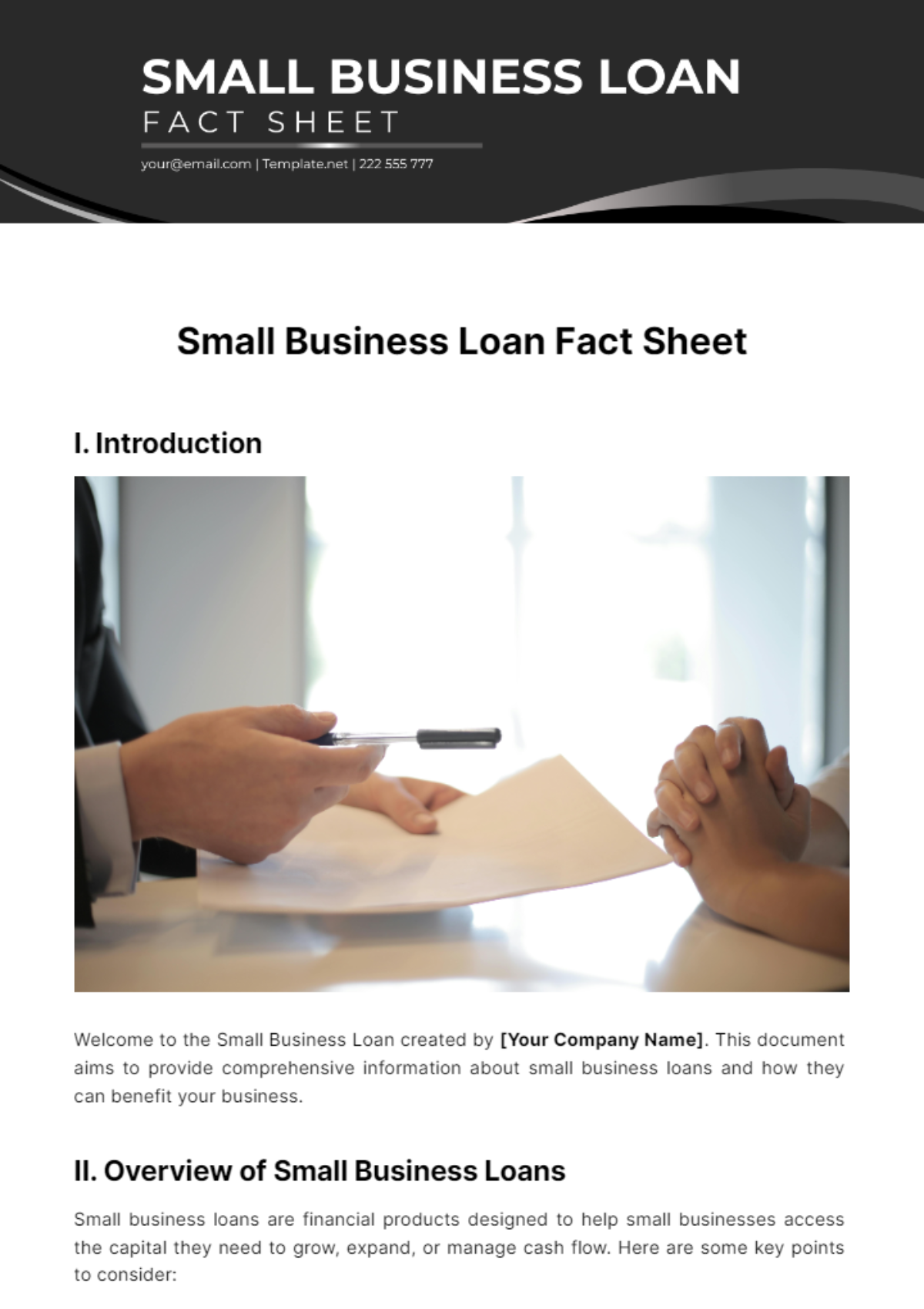 Small Business Loan Fact Sheet Template