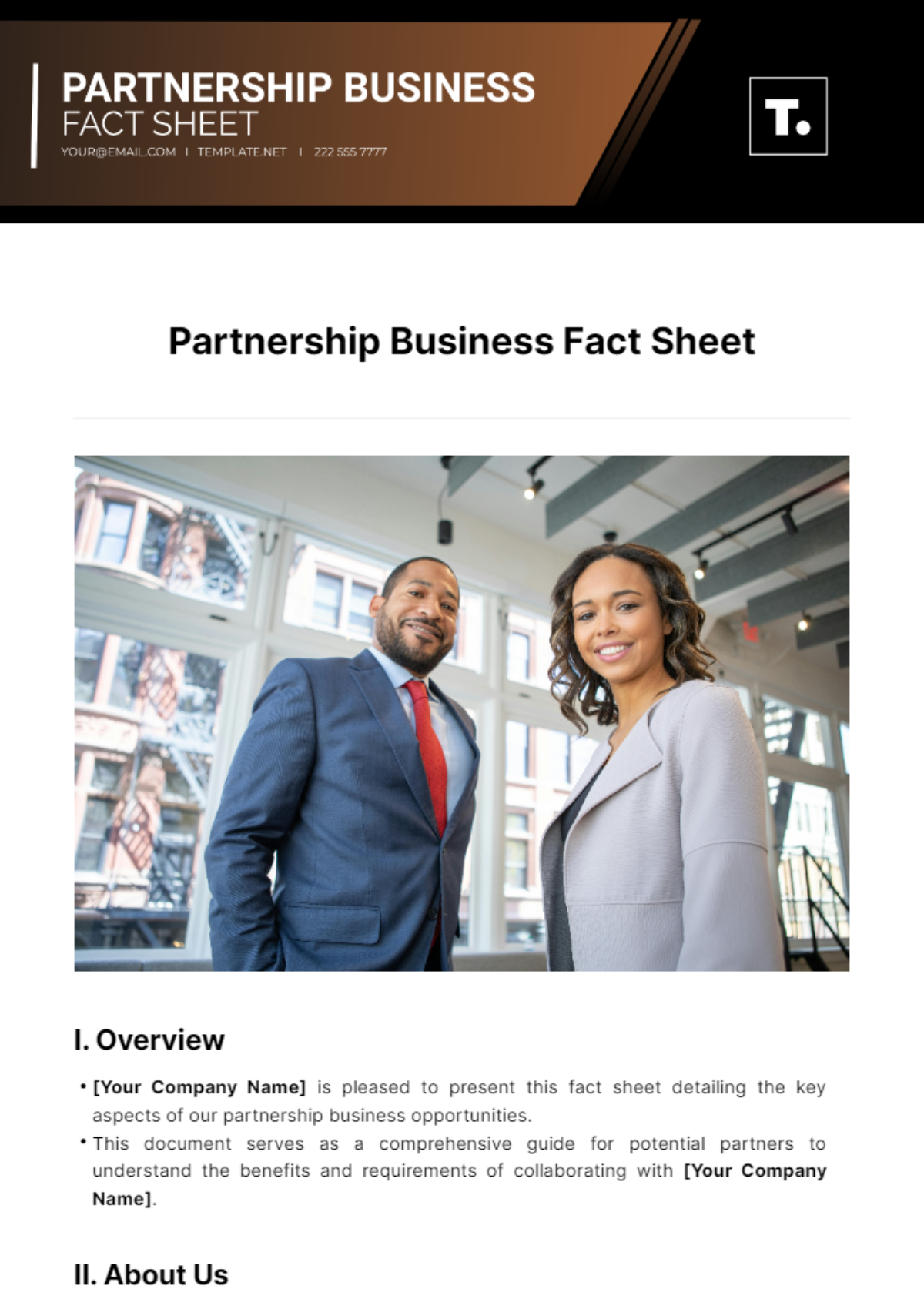 Partnership Business Fact Sheet Template